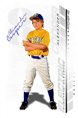 Baseball Player Banner