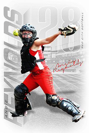 Softball Player Banner